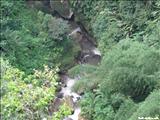 Rio Camuy Cave Park - CAMUY